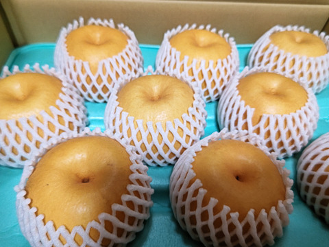甘酸っぱい果汁たっぷり!新興梨 約5kg【大きめサイズ】