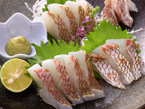 【皮まで美味い！】肉厚でジューシーなブランド真鯛はいかが？＜３枚おろし皮あり＞