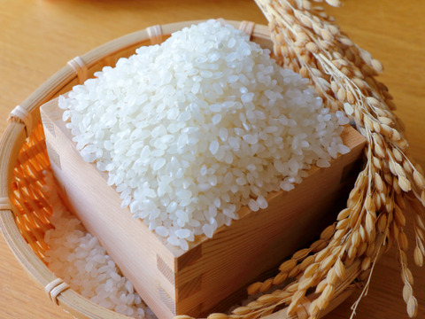 令和8年産新米】森のくまさん（白米20kg）節減対象農薬：当地比8割減