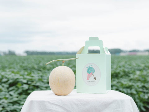 十勝メロン（赤肉キングメロン）2個入れ