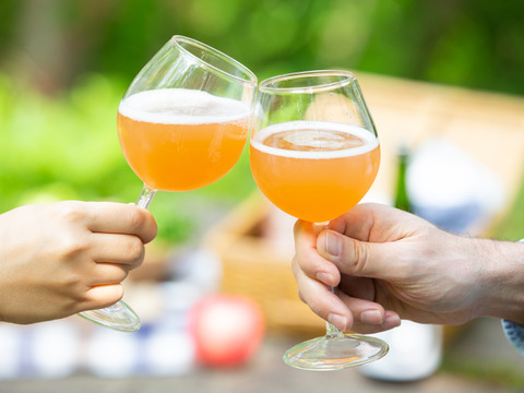 テキカカシードルこうとく＆えんシードル各3本計6本セット お家飲みにギフトにもおすすめ🎁りんご農家が造るシードル飲み比べセット 希少りんご「こうとく」と「彩香」