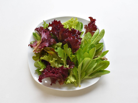 和らぎ農法　ミックスリーフ　大（1袋）