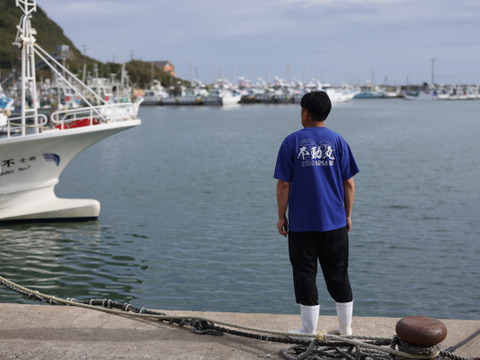 人気のサイズです！ 活け〆ヒラメ
1.5kg位(1.3〜1.7kg位)のサイズ　1尾