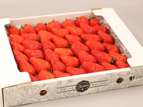 【完熟紅ほっぺ】サイズ混合900g