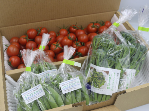 家族で楽しむ。まるたか農園、採れたて新鮮野菜セット