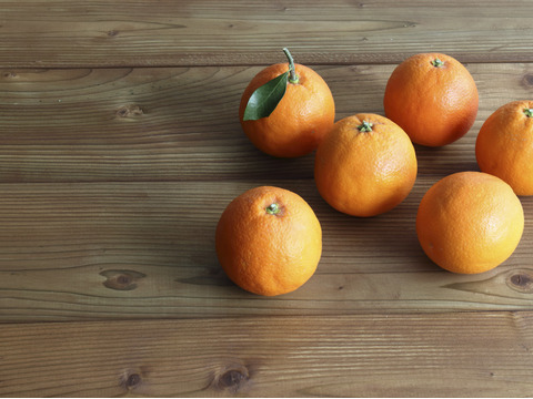 和歌山県有田産！ブラッドオレンジ（2KG）タロッコ種