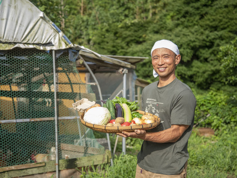 旬の野菜セット約8～10種類（農薬化学肥料不使用）