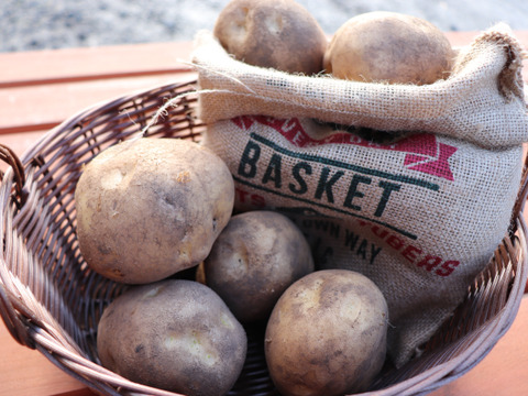 【予約商品】ホクホク甘い！たてお農園の定番ジャガイモ『キタアカリ』2Lサイズ　5kg【10月頃発送】