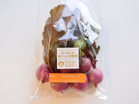 和らぎ農法　もものすけかぶ　大（2～6個）