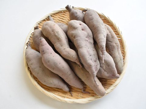 和らぎ農法　さつまいも食べ比べ便（約2.5kg）