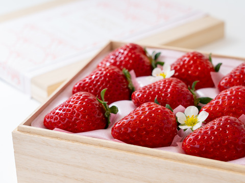 ✨️🏆[全国いちご品評会銀賞]🍓✨️木箱(中サイズ)✨