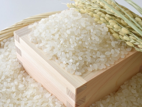 ぶどう屋さんが育てた美味しい農家米！令和4年度  ひのひかり（白米）10kg
