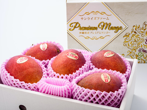 『夏ギフト』【順次発送中】サンライズファームのアップルマンゴー 【優品】【2kg】