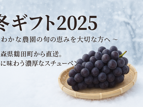 冬ギフト　青森の奇跡のぶどうスチューベン特秀2kg