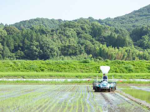 《訳あり》サステナチーズ便 4〜6個