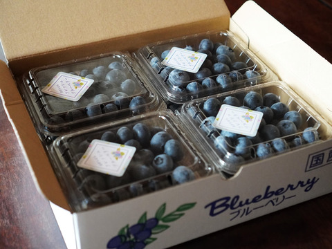 【夏ギフト】おいしい空気で育った樹上完熟～中粒～ブルーベリー＜匠＞125ｇ×8