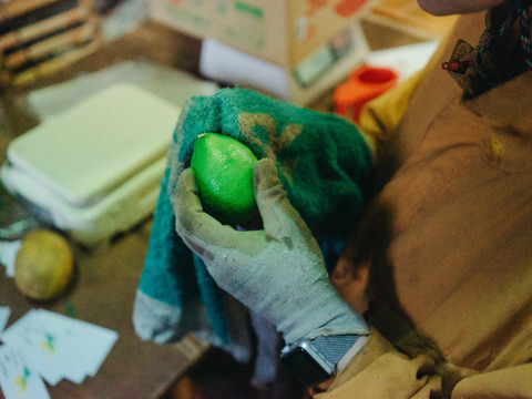 片浦産】すっきり爽やか！グリーンレモン(2kg)：神奈川県産の果物