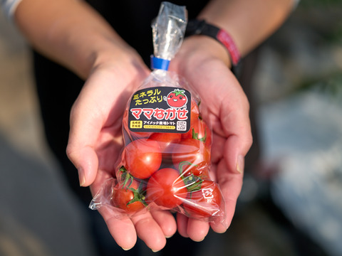 マト(お取り置き) タッチパネル付き歯突起尖指定装置 - Root ZX