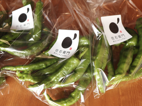 万願寺とうがらしより美味しい？！　『甘唐美人』１kg