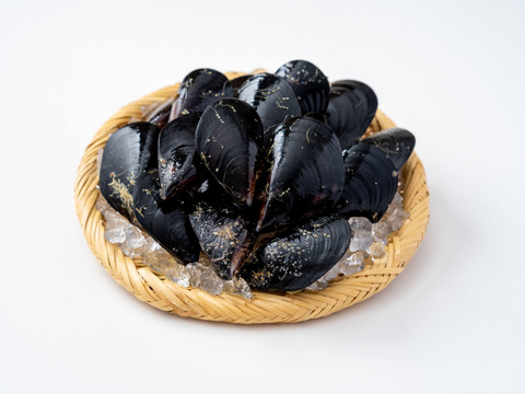 ムール貝｜岩手県越喜来湾崎浜産（2kg）