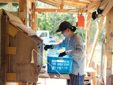 平飼いたまご20個（10個パック×2）