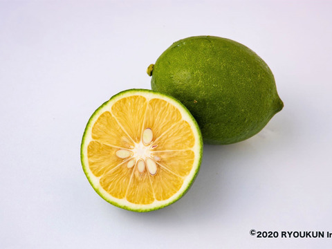 【香り高い！】国産グリーンマイヤーレモン(5kg）