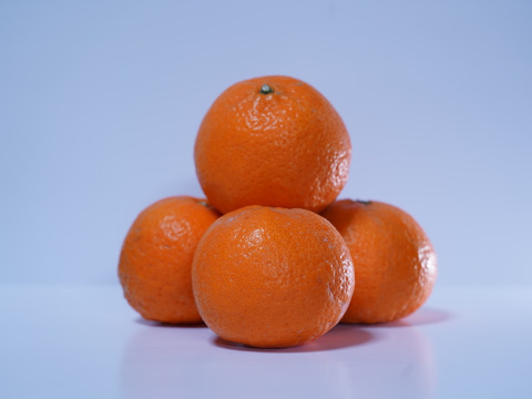 3.5kg］希少柑橘「農6号」 ＼カットフルーツやジュースでどうぞ