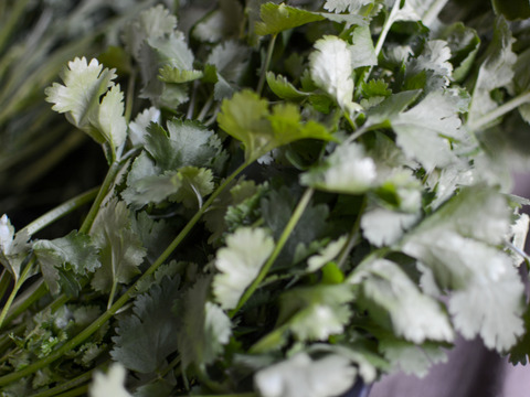 【旬の上州野菜】Mサイズ（6~7品目）梱包まで丁寧に