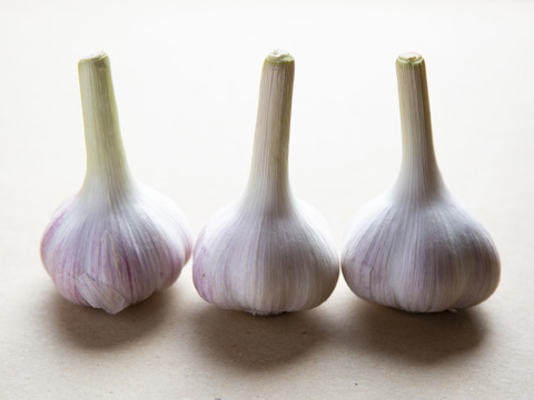 和らぎ農法　フレッシュ！新にんにく便（約1.5kg）