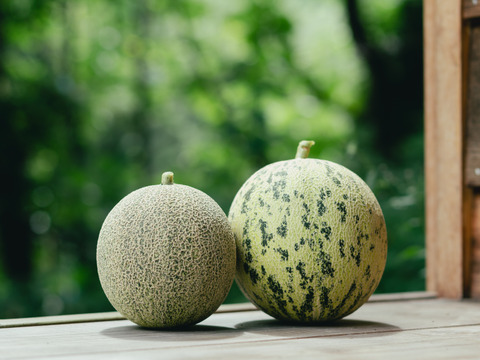 【贈答用】《最優秀賞受賞》お中元に！日本唯一のオリジナル・オーガニックメロン