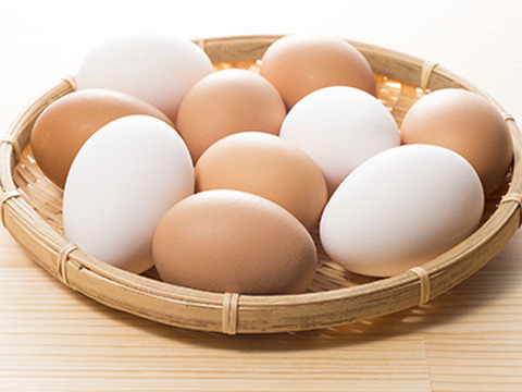 たまご 玉子 卵 10kg 白玉 1箱 MSサイズ エッグ EGG
