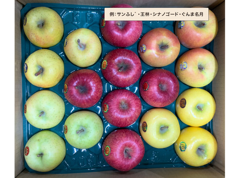 ★11月中旬発送★【みんなで食べ比べ🍎】おまかせりんご家庭用10kg（28~40玉）