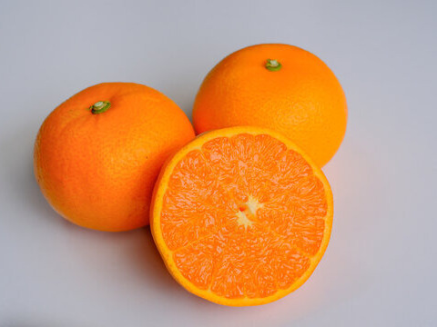 大トロ せとか10kg