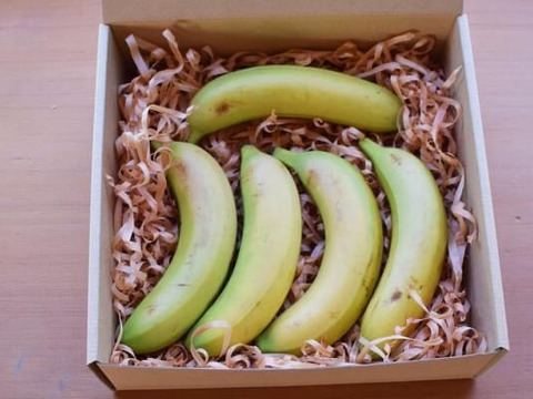 流通量わずか0 01 の希少国産バナナ まさかの埼玉県産 神川バナナ 5本以上入って 約1 1kg 農薬 化学肥料不使用国産バナナ 埼玉県産 食べチョク 農家 漁師の産直ネット通販 旬の食材を生産者直送
