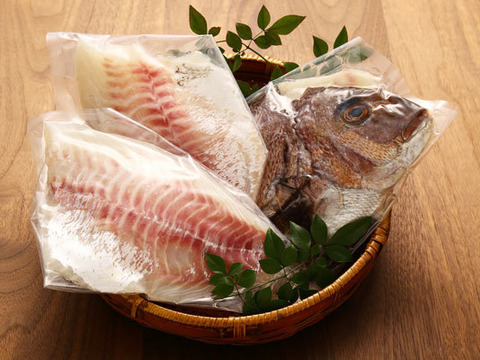【まだ間に合う！】お正月用・祝い鯛〈３枚おろし・皮なし〉