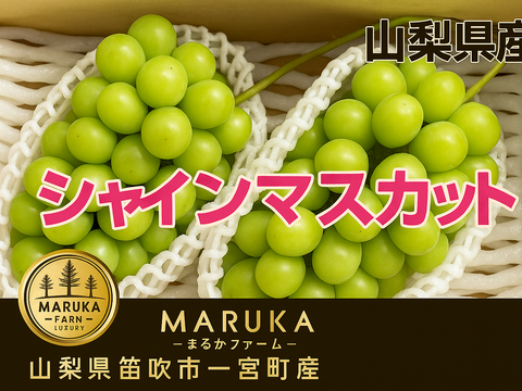 産地直送！山梨県笛吹市産シャインマスカット 🍇【山梨県笛吹市産】プレミアムシャインマスカット 約3kg