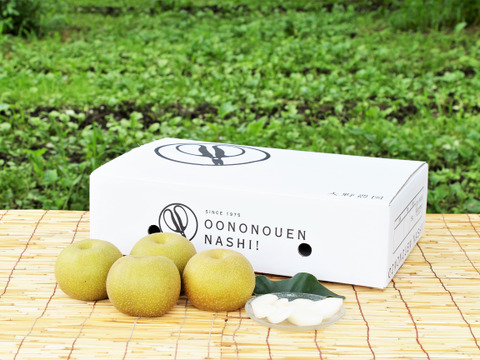 濃厚な甘さと瑞々しさが絶賛の「幸水」18～6個程度（5kg程度）