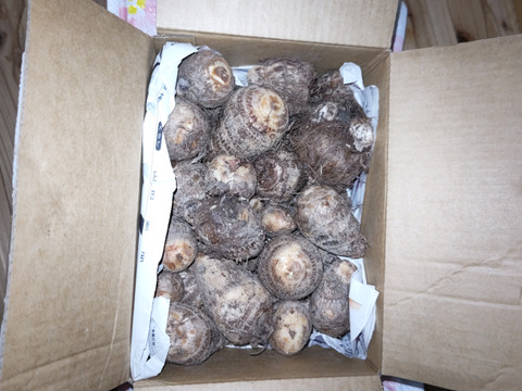 ねっとり里芋3キロ