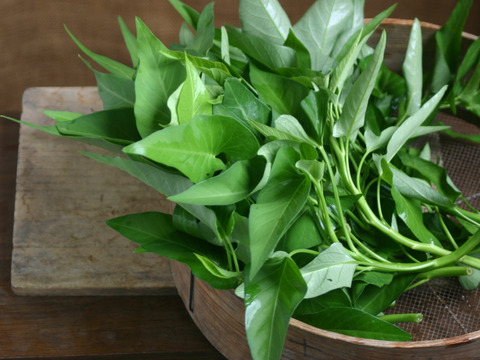 多品目栽培農家のユニーク旬野菜つめあわせ8種セット