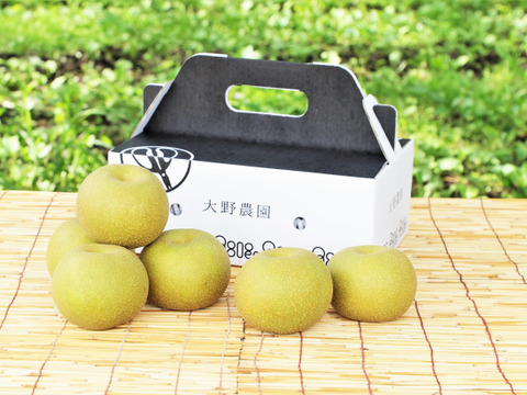 当園の和梨で人気ナンバー１の【梨：豊水】6～4個程度（2㎏程度）