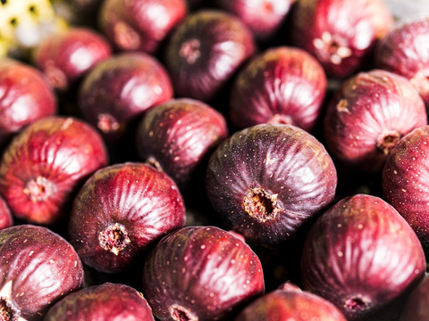 藤井農園最高級ブランドいちじく『羽曳野バイオレット』（9個or12個入り）