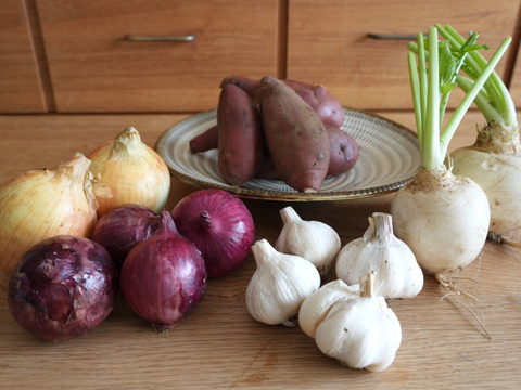 『新もの3兄弟入り！』旬の野菜セット9品前後〈農薬等不使用栽培〉100サイズ