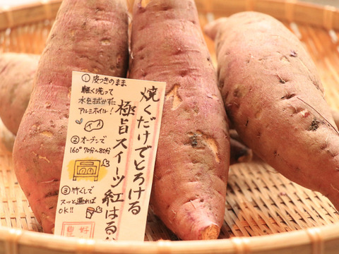 《予約販売》熟成させてお届けするとびっきり甘い蜜いっぱいのさつまいも🍯🍠厳選「紅はるか」（3㎏）ひとつひとつ丁寧に包んでお届けで贈り物にも✨ホワイトデープレゼントにも🎁熨斗承ります！