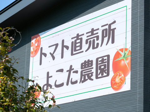 【新春SALE】サクサクミニトマト　フラガール500g×4袋