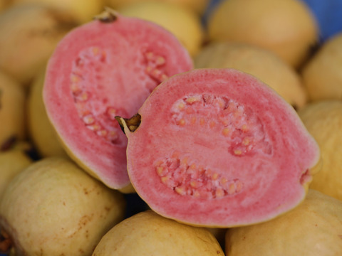 有機グアバ農園の完熟フルーツソース Guava & Lemon(グアバ＆レモン)100g　日本でも希少な自家農園産の有機グアバ果実を100%使った完熟フルーツソース♪甘酸っぱいトロピカルなお味を☆