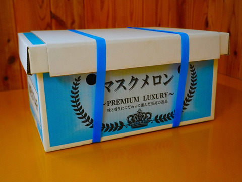 今季最終便【秋作】特選マスクメロン3.2kg以上(1.6kg以上×2玉・リボン付き・オリジナル化粧箱入り)