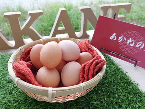 🎁【冬ギフト】🎁 冬のご挨拶に⛄️【あかねの虜】Lサイズ（40個入り） 28歳2児の母がプロデュースした話題の卵【お歳暮・お年賀など熨斗対応可能👌】※ご希望の場合は特記事項へご記入ください