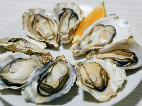 【生牡蠣】【生食用】三重県産 浦村かき カンカン焼き×2缶（1缶あたり 殻付き Mサイズ牡蠣 約40～50個前後、約4キロ入り）
牡蠣 カキ 貝類 海鮮 BBQ 歳暮 熨斗 母の日 父の日【冬ギフト】