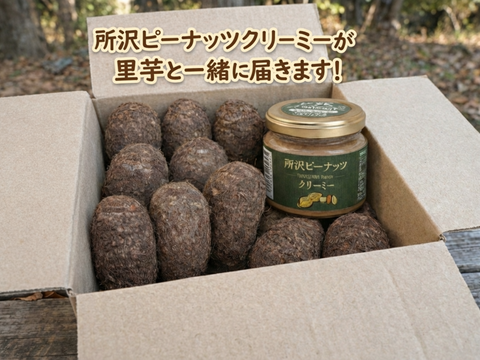 所沢ピーナッツクリーミー1瓶＆さといも２Ｌサイズ2.5kg同梱セット