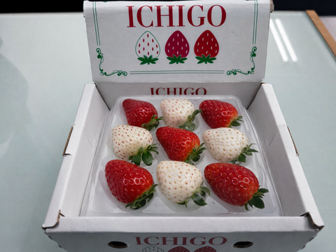 【食べ比べ】2色(赤・白)フラワー＆スクエア　160g×4箱セット